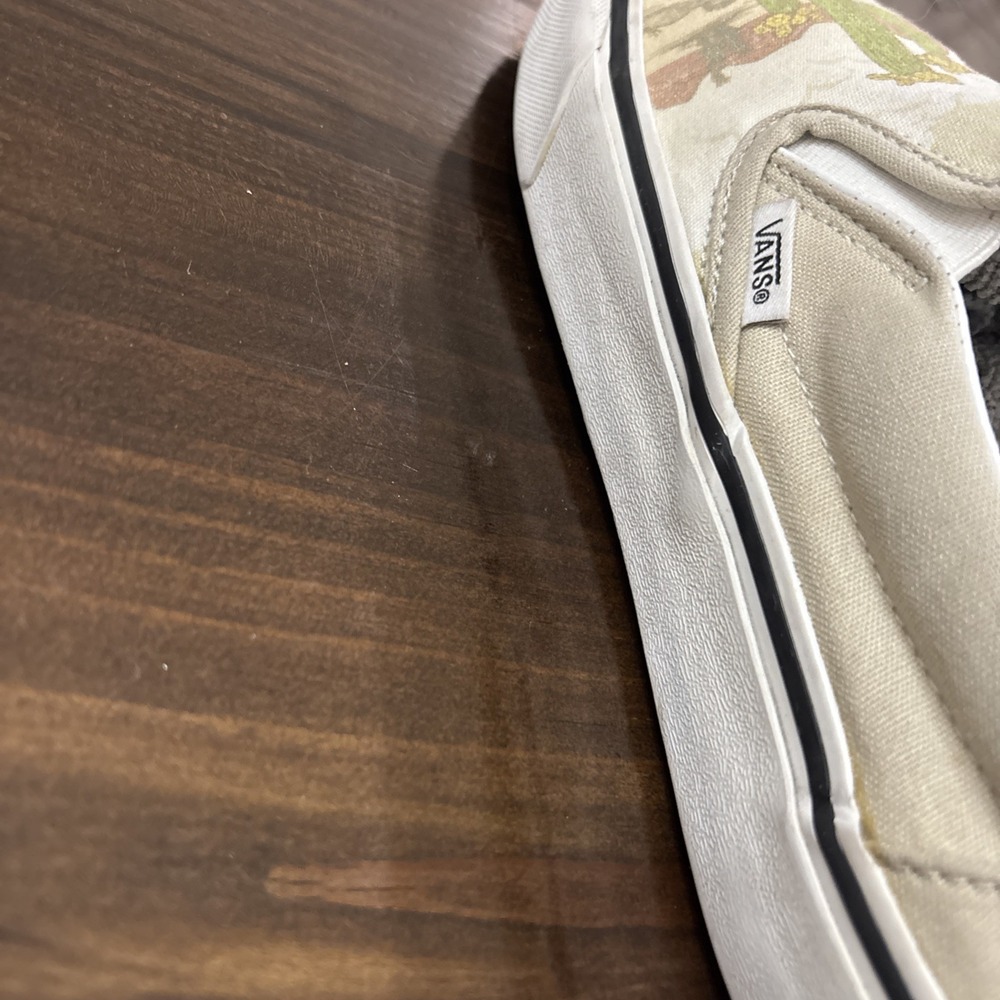 Vans Slip On Desert Vibes Cactus Roadrunner Shoes Men 8 Women 9.5 - Picture 10 of 13